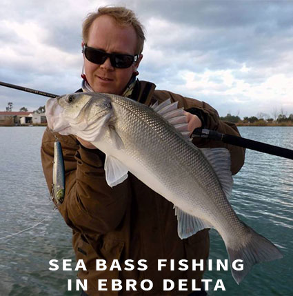 Sea bass fishing in Spain